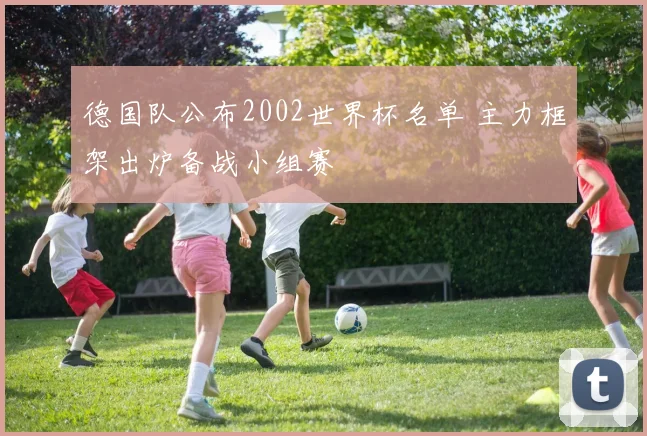 德国队公布2002世界杯名单 主力框架出炉备战小组赛